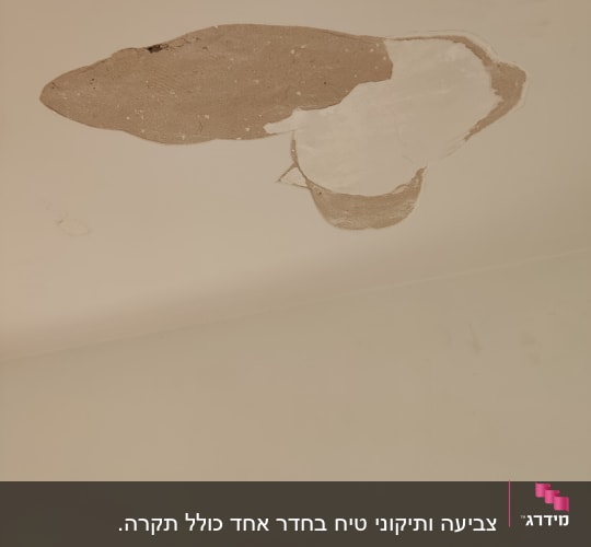 תקרה עם קילוף צבע וחומר טיח חשוף